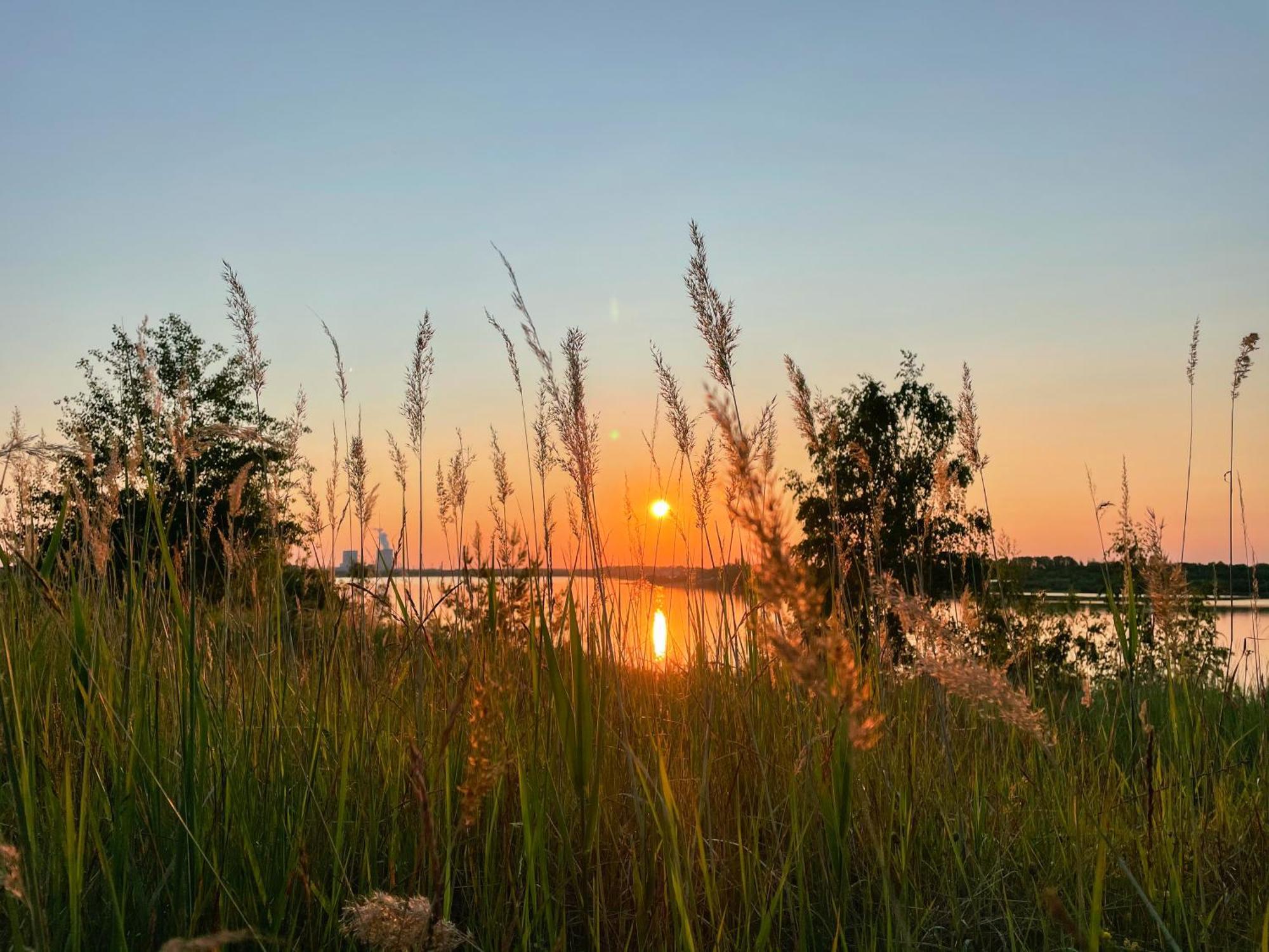 Haus Im Schilf 1 - Ferienwohnungen Am Hainer See Bei Leipzig Neukieritzsch Bagian luar foto