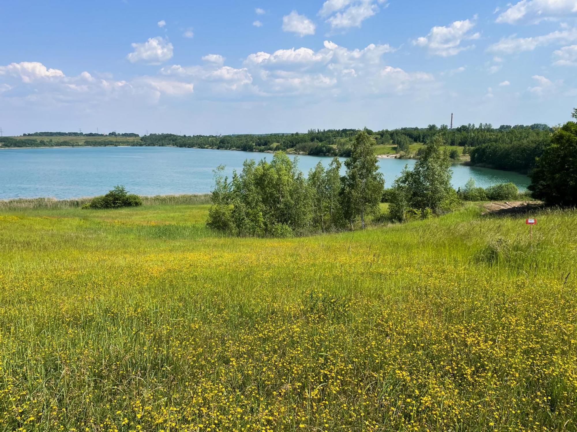 Haus Im Schilf 1 - Ferienwohnungen Am Hainer See Bei Leipzig Neukieritzsch Bagian luar foto
